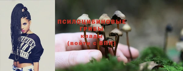 МДПВ Балахна