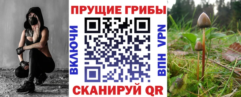 Галлюциногенные грибы MAGIC MUSHROOMS  гидра сайт  Эртиль 